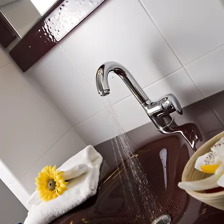 Hotel Restaurant Splendid Camargue 3*